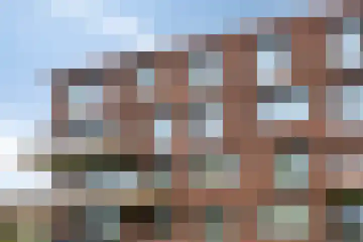 De Dukdalf 49 Dronten thumbnail 6
