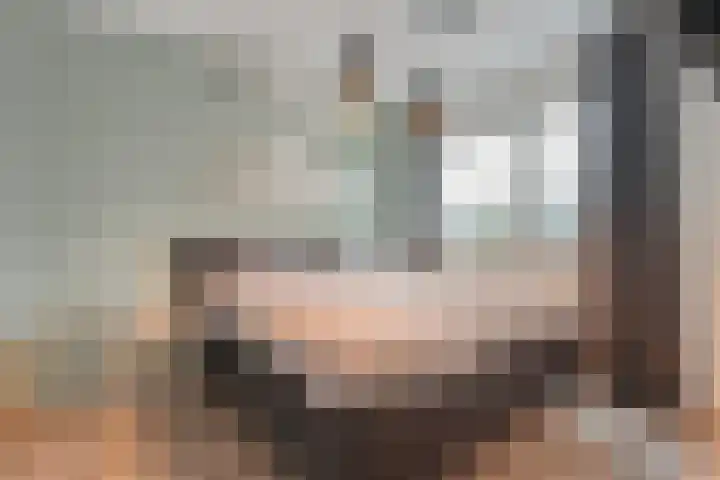De Duus 17 Ootmarsum thumbnail 12
