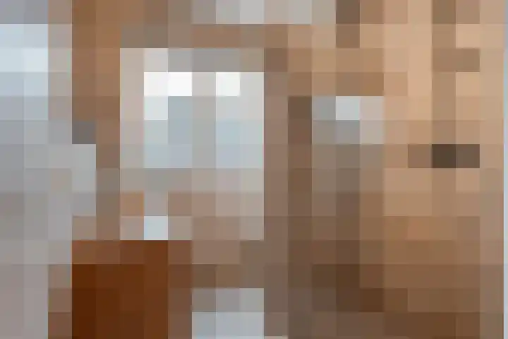De Duus 17 Ootmarsum thumbnail 15