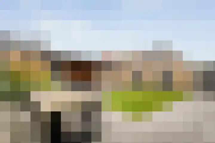 De Duus 17 Ootmarsum thumbnail 17