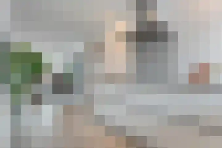 De Duus 17 Ootmarsum thumbnail 9