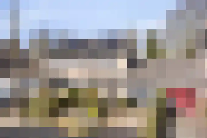 De Eendenkooi 7 Dronten