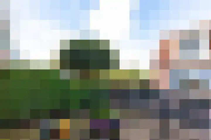De Eendracht 13 De Rijp thumbnail 38