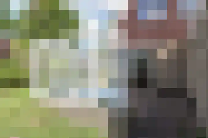 De Eendracht 2 Harlingen thumbnail 47