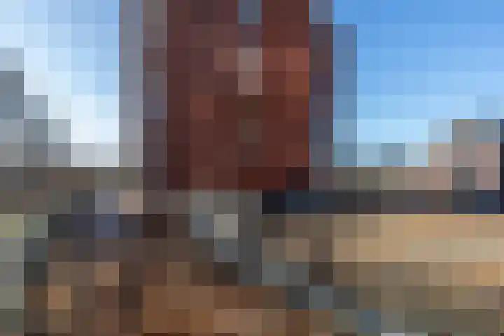 De Eendracht 26 Delft thumbnail 33