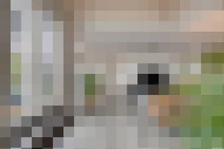 De Eendracht 69 Delft thumbnail 9