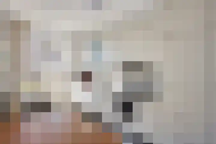 de Eerensplein 11 Vlodrop thumbnail 10