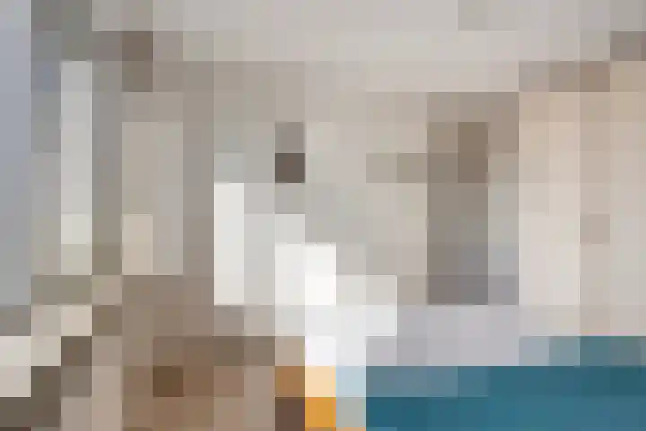 de Eerensplein 11 Vlodrop thumbnail 16