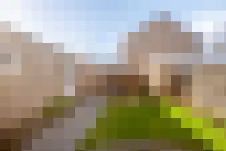 de Eerensplein 11 Vlodrop thumbnail 22
