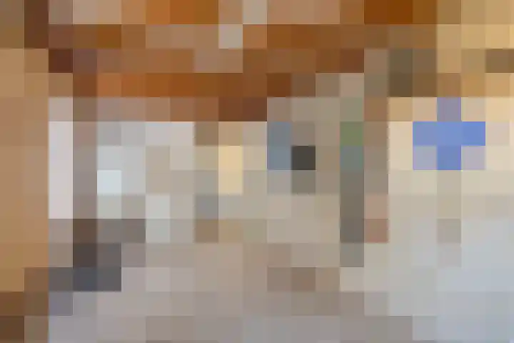 de Eerensplein 11 Vlodrop thumbnail 26