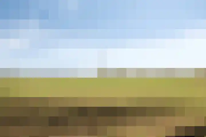 de Eerensplein 11 Vlodrop thumbnail 32