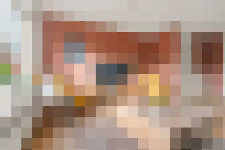 De Eersteling 18 Velp thumbnail 11