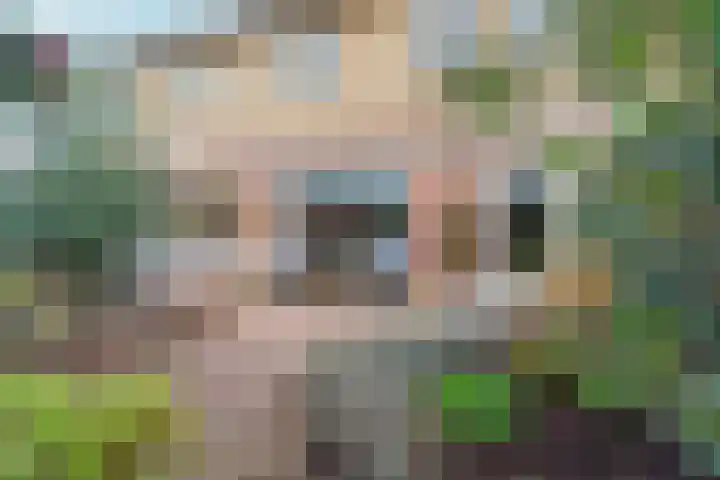 De Eersteling 18 Velp thumbnail 34