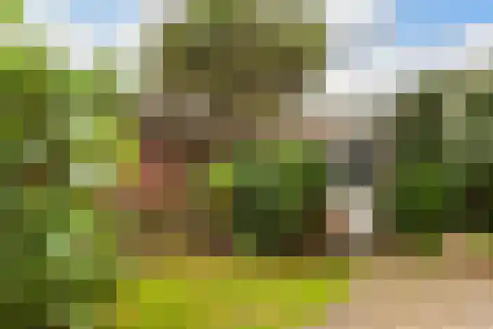 De Eersteling 20 Velp thumbnail 17