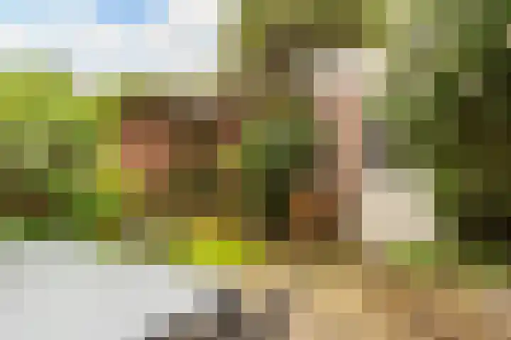 De Eersteling 20 Velp thumbnail 18