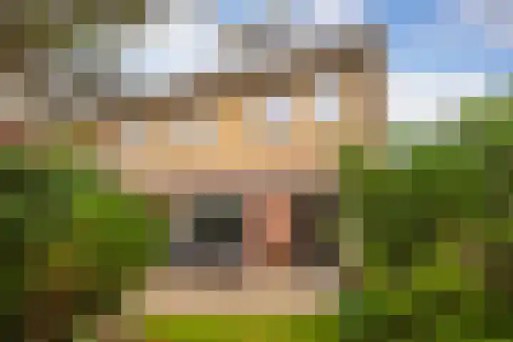 De Eersteling 20 Velp thumbnail 19