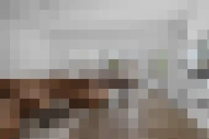 De Eersteling 8 Velp thumbnail 11