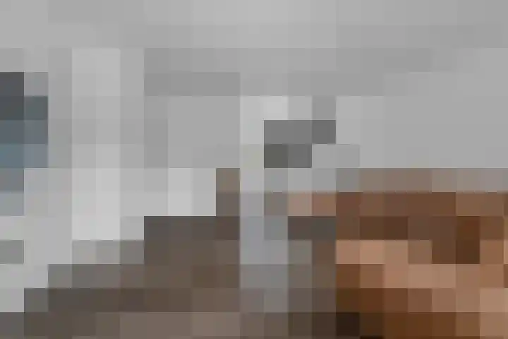 De Eersteling 8 Velp thumbnail 13