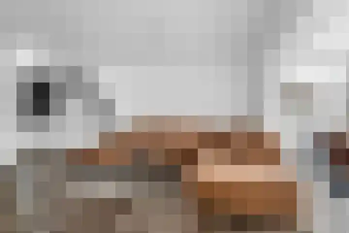 De Eersteling 8 Velp thumbnail 14