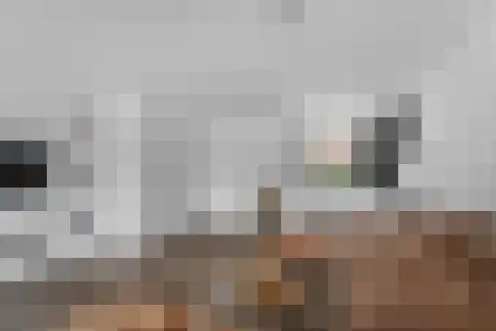 De Eersteling 8 Velp thumbnail 15
