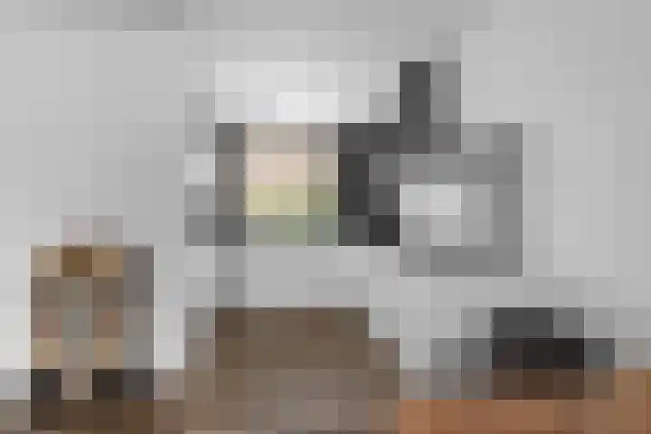 De Eersteling 8 Velp thumbnail 16