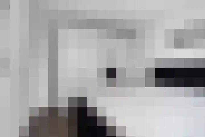 De Eersteling 8 Velp thumbnail 21