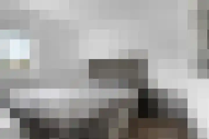 De Eersteling 8 Velp thumbnail 22