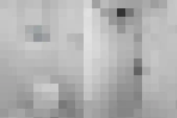 De Eersteling 8 Velp thumbnail 24
