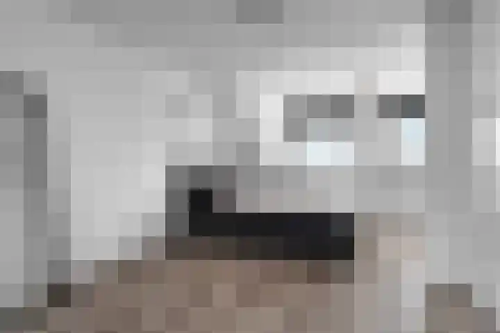 De Eersteling 8 Velp thumbnail 27