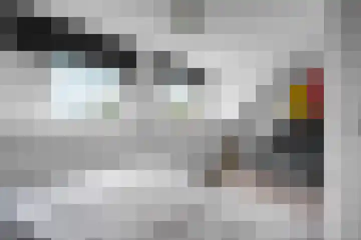 De Eersteling 8 Velp thumbnail 29