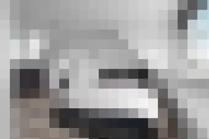 De Eersteling 8 Velp thumbnail 30