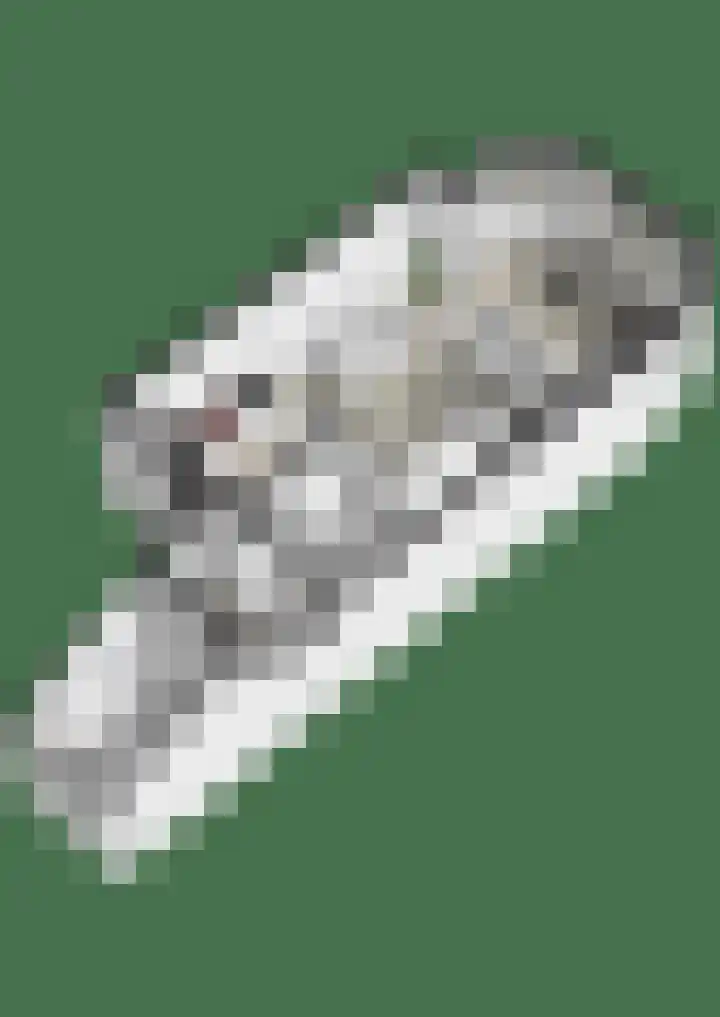 De Eersteling 8 Velp thumbnail 39