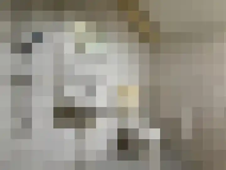 De Eese 44 Almelo thumbnail 14