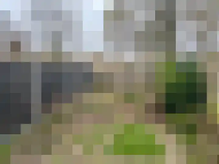 De Eese 44 Almelo thumbnail 19