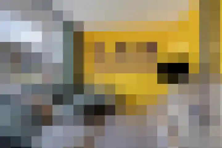De Eibert 9 Tynaarlo thumbnail 12