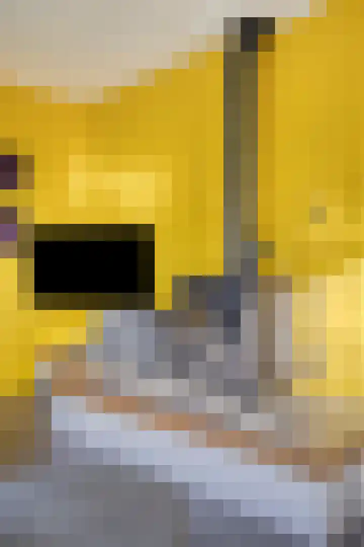 De Eibert 9 Tynaarlo thumbnail 15