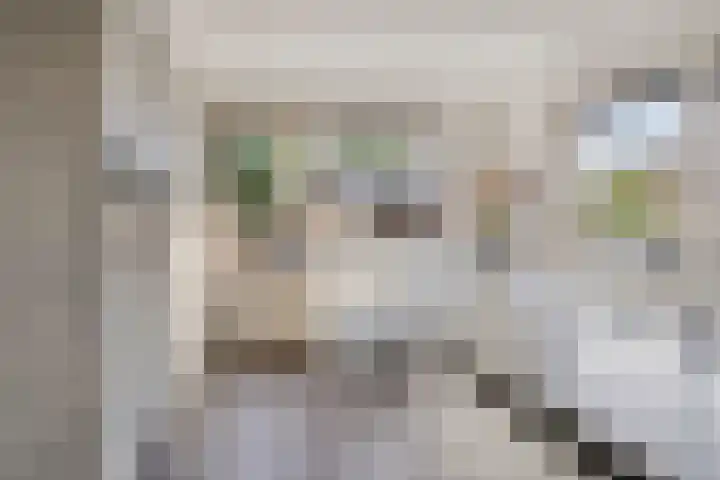 De Eibert 9 Tynaarlo thumbnail 18