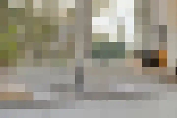 De Eibert 9 Tynaarlo thumbnail 19