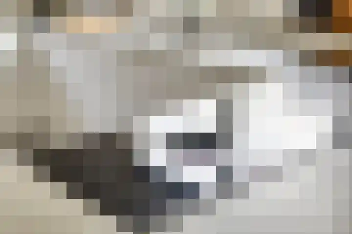 De Eibert 9 Tynaarlo thumbnail 20
