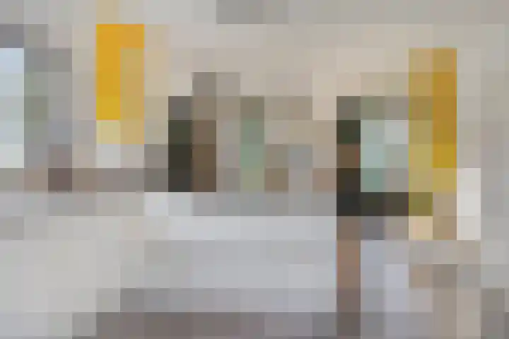 De Eibert 9 Tynaarlo thumbnail 22