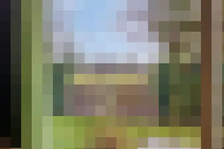 De Eibert 9 Tynaarlo thumbnail 23