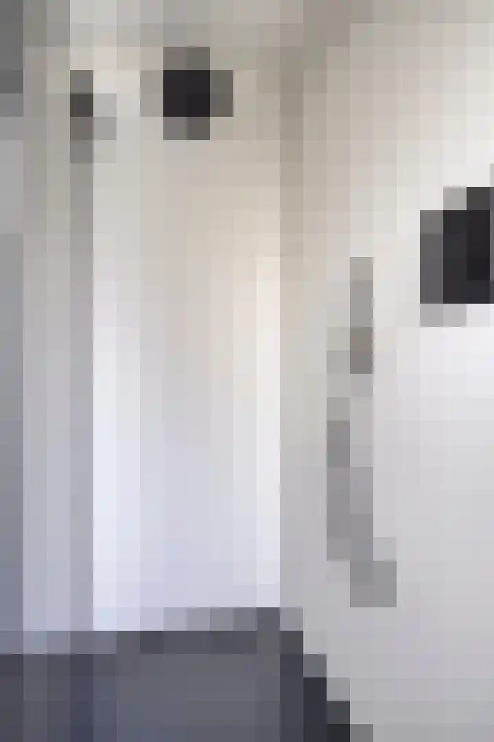 De Eibert 9 Tynaarlo thumbnail 44
