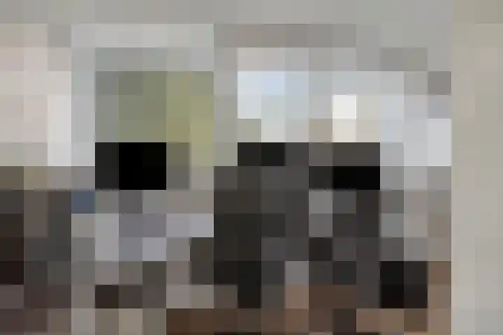 De Eibert 9 Tynaarlo thumbnail 46