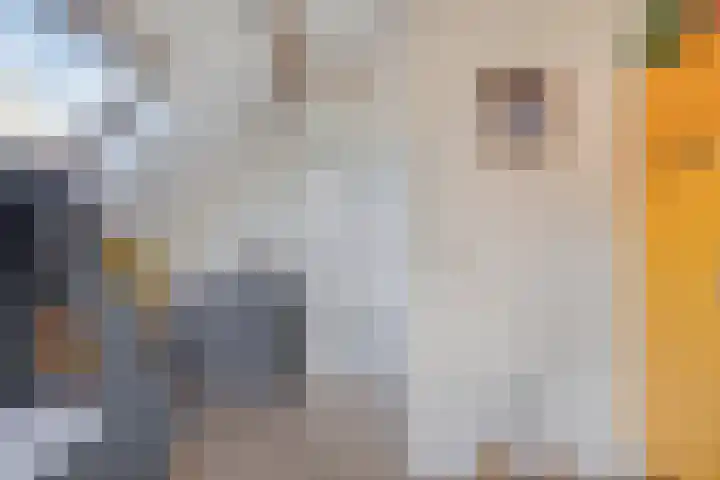 De Eibert 9 Tynaarlo thumbnail 49