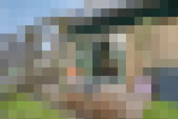 De Eibert 9 Tynaarlo thumbnail 56