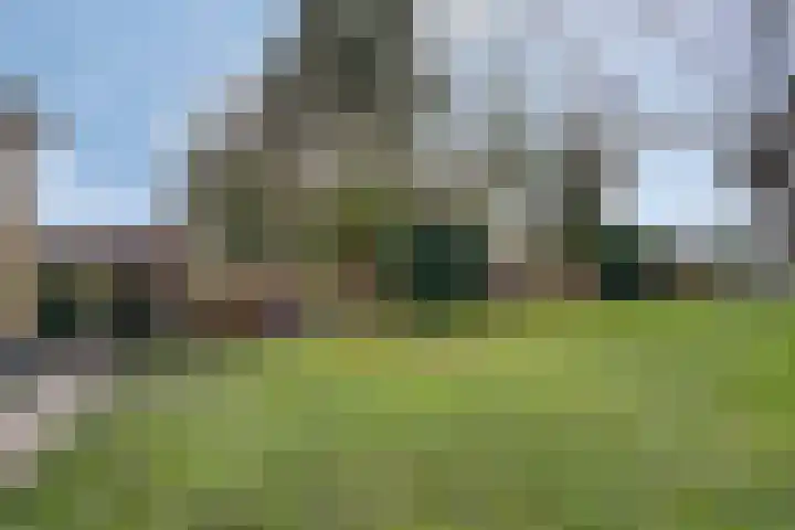 De Eibert 9 Tynaarlo thumbnail 6