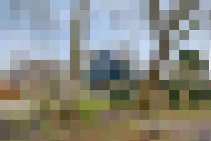De Eibert 9 Tynaarlo thumbnail 61