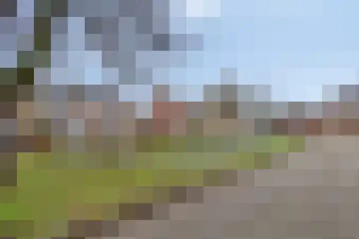 De Eibert 9 Tynaarlo thumbnail 63