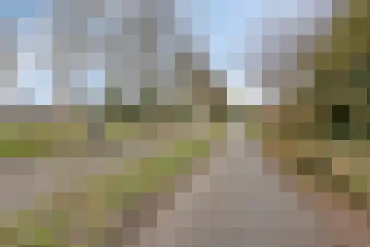 De Eibert 9 Tynaarlo thumbnail 65