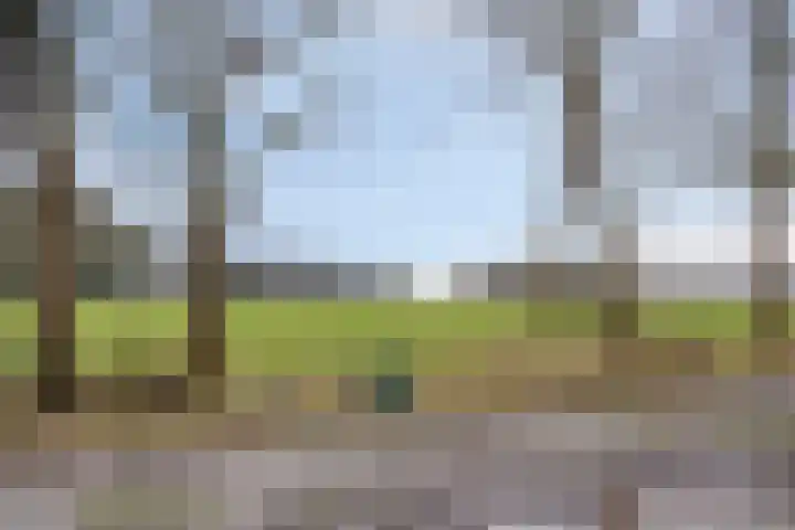 De Eibert 9 Tynaarlo thumbnail 66